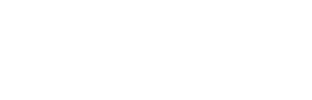 petrasoft_solutions_white_logo_hozn