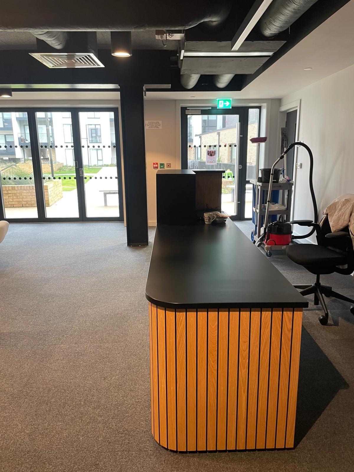 Platinum Cleaning Service (10)