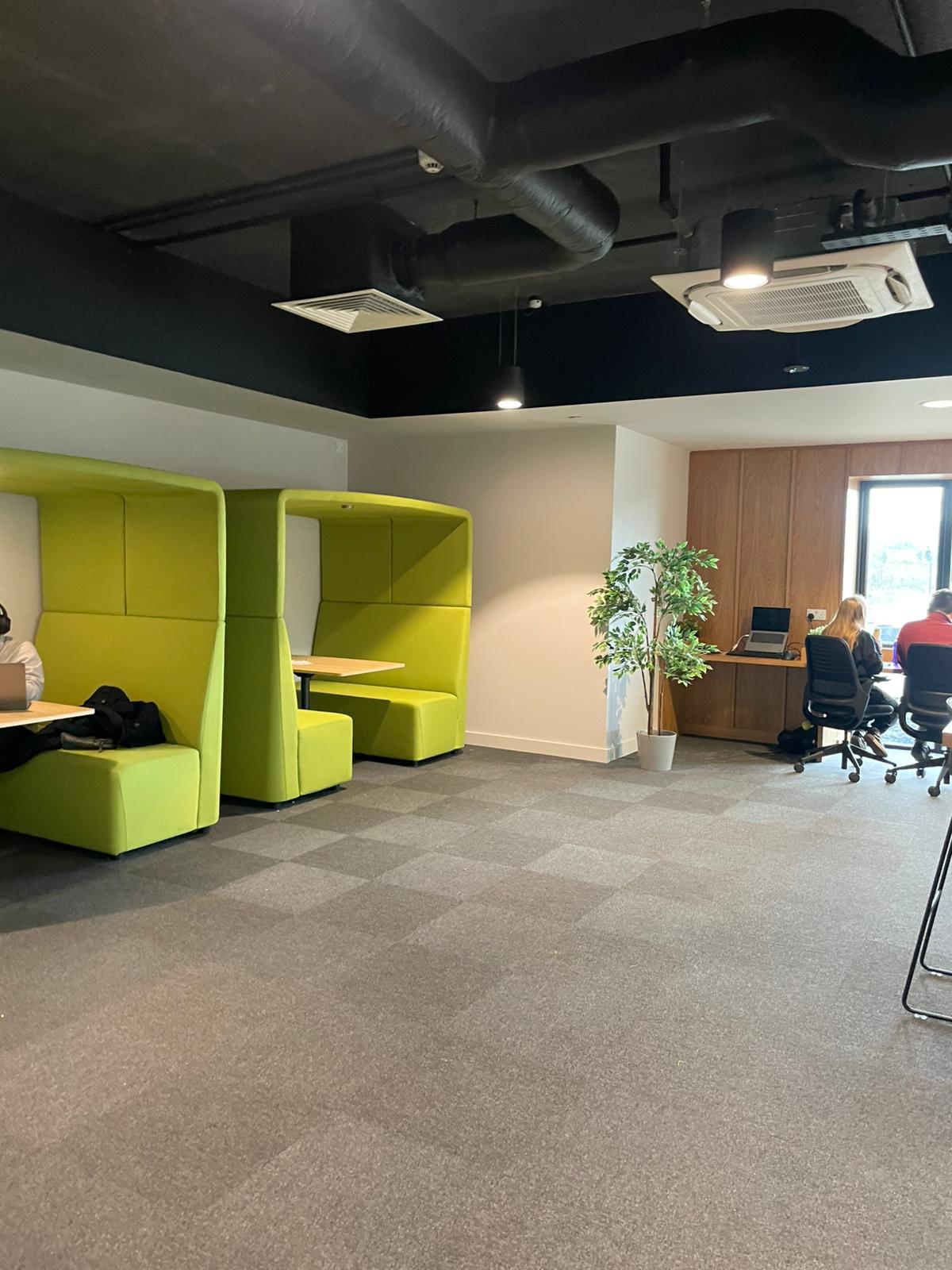 Platinum Cleaning Service (17)